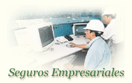 Seguros Empresariales